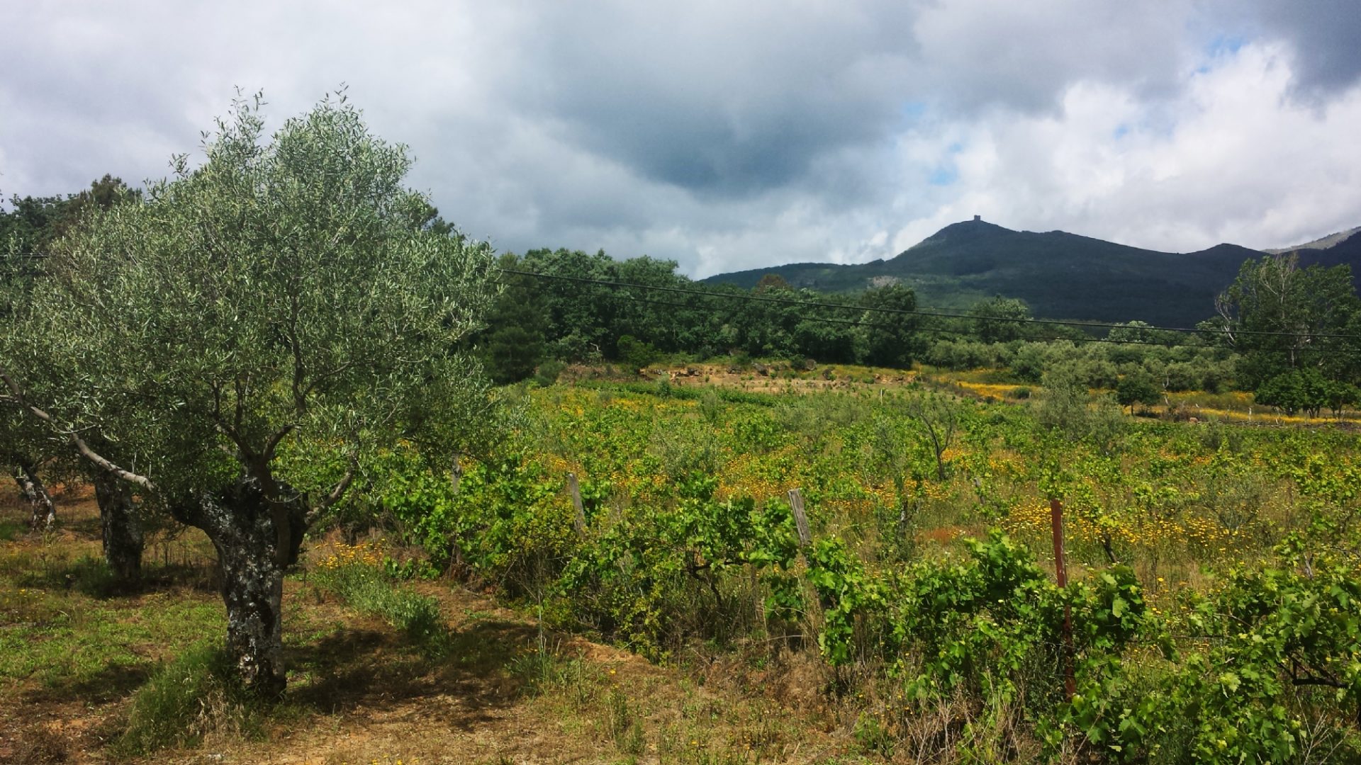 GR 10 E-03 – Descargamaría-Cadalso